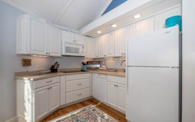 Night Heron by Vtrips