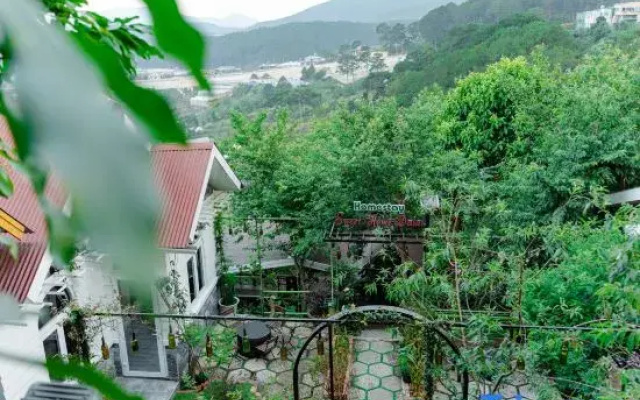 Sweet Home Dalat - Homestay