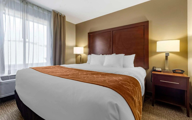 Comfort Suites Bridgeport - Clarksburg