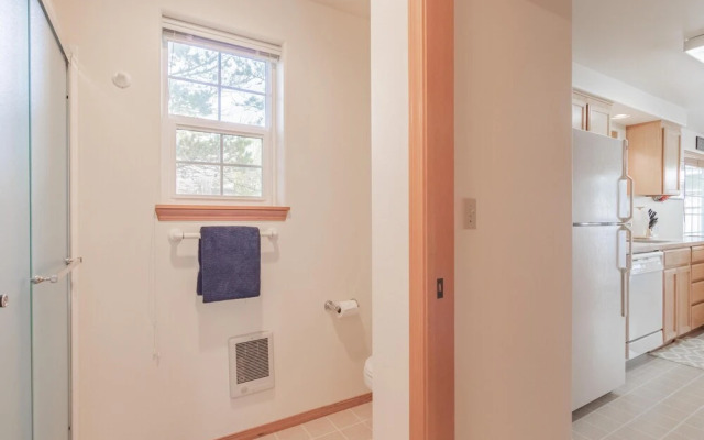 Avas Sunny Delight (MCA 682)