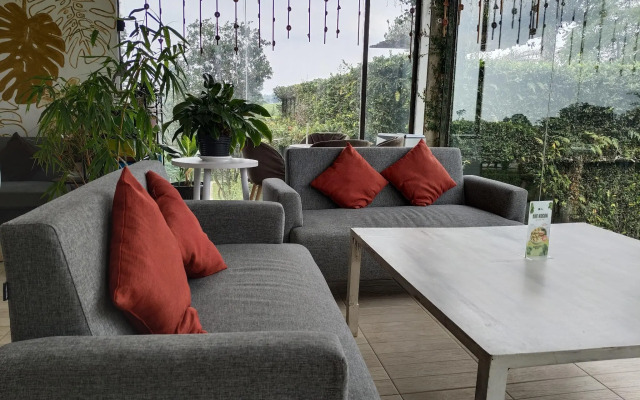 Tea Garden Resort