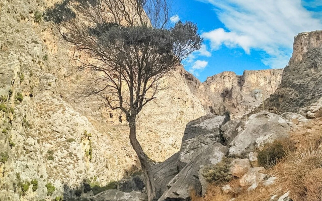 Stylish Villa, Private Pool, Large Garden, sea View, En-suite Bathrooms