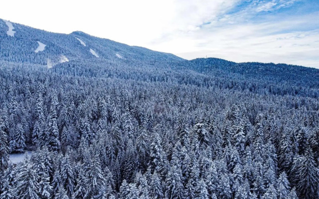 MAGRI Luxurious Apartment A42 Borovets Gardens