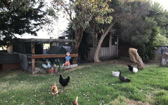 Aussie Golf Ranch