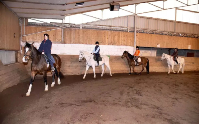 Reitstall Familie Inghofer - Gästehaus & Bauernhof