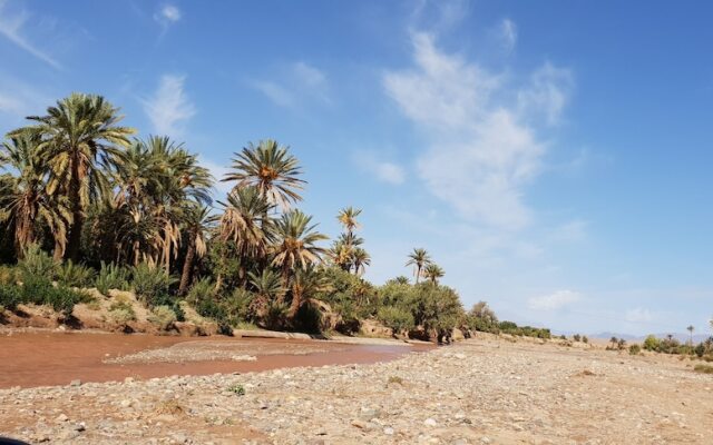 Gîte Kasbah La palmeraie