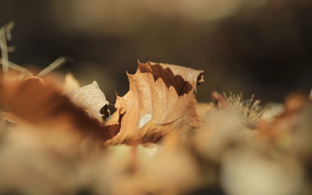 Residencial Martinho