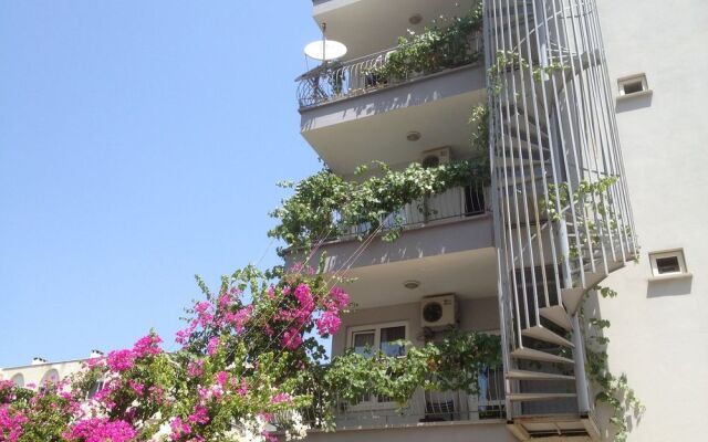 Bayindir Palme