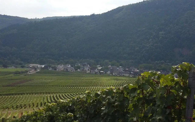 Weingut Willi Fett