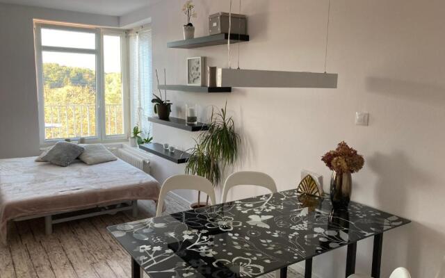 Apartment Husova