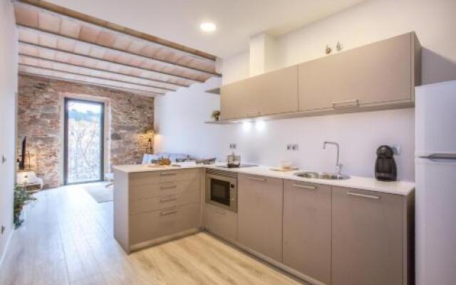 Flateli Plaça Catalunya 1.1