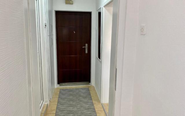 Central DELUXE Apartment