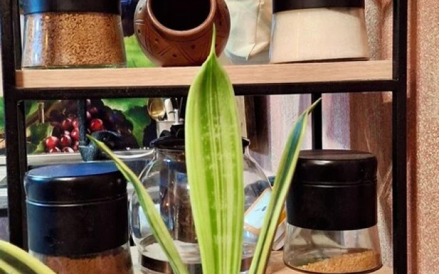 Studio Boutique Hotel