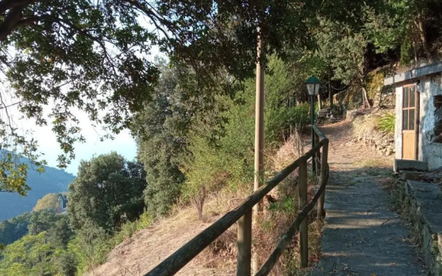 La quiete accesa