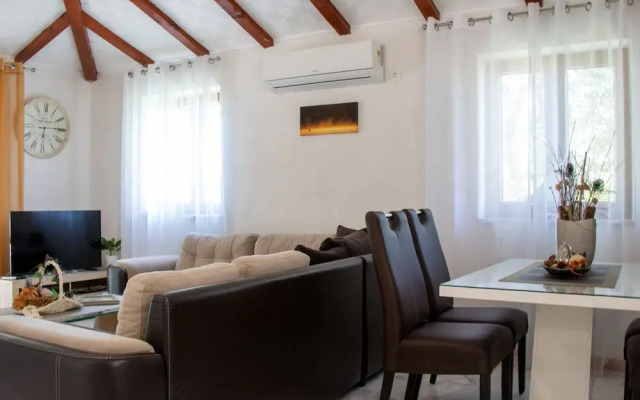 Authentic Dalmatian Treasure Homes