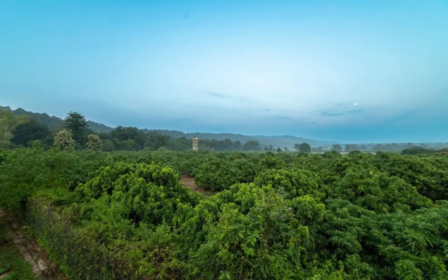 Vanya Forest Resort