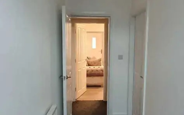 Fantastic New Room-3