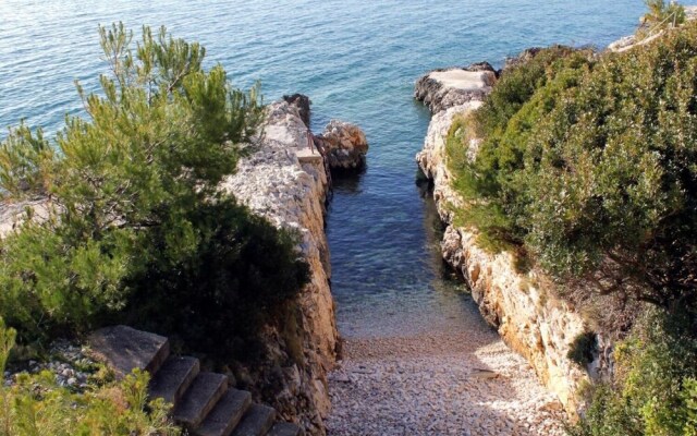 Zlata - Only 50 m From Beach - A1