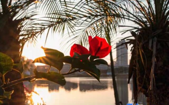 Pebble Motel (Lovers Road Riyue Shell)