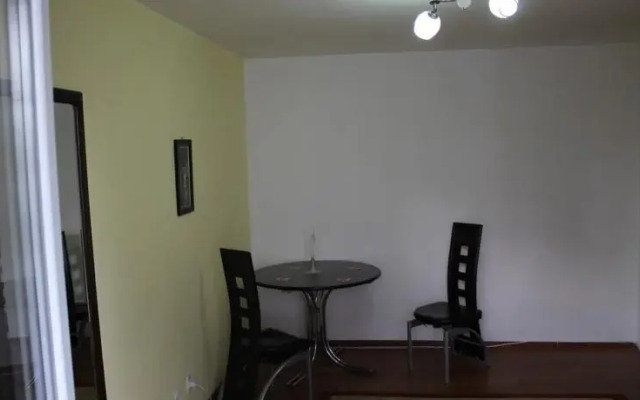 Floreasca Premium Apartament