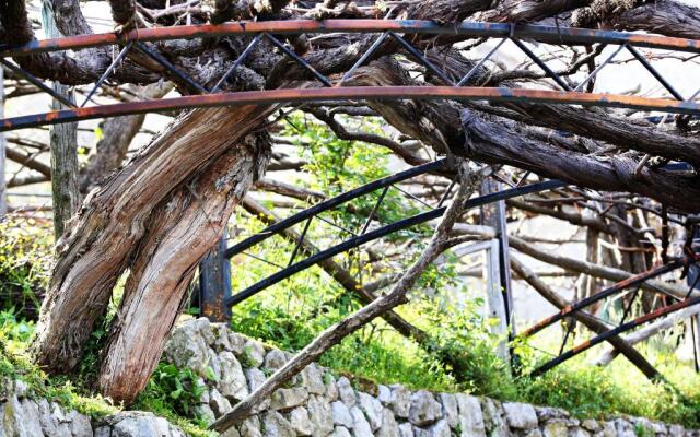 Agriturismo Il Raduno