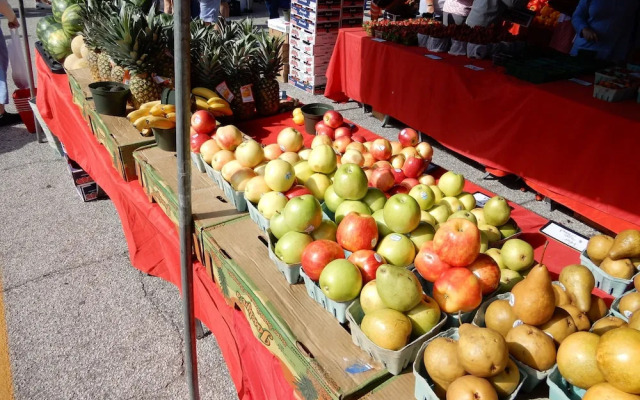 Treasure Island Luxury Intercoastal Home (745)