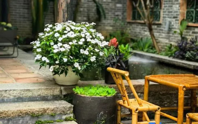 Sudi Courtyard – Outside – Foshan