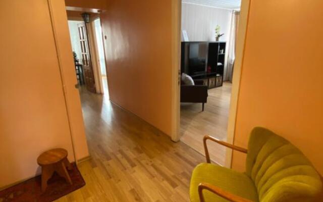 Cozy Center Apartment in Druskininkai