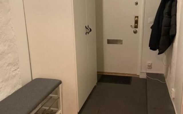 Attic Floor in Stockholm City 918