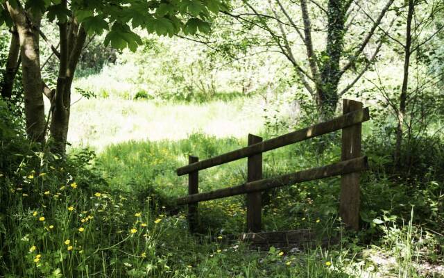 Waunwthan: B&B Suites