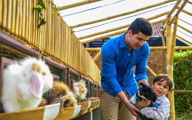 Mulberry Hill by The Lodge