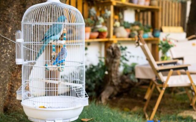 Weizhou Island Summer Haiqing Homestay