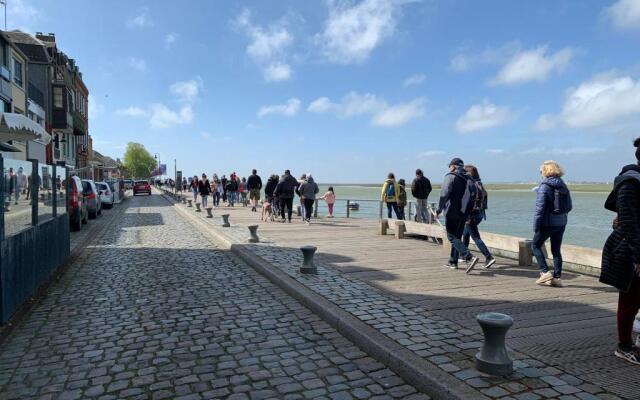 Sur le chemin des phoques