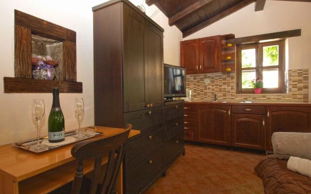 Apartment 1655