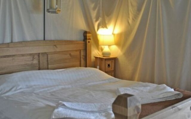 Bear Lodge - Glamping