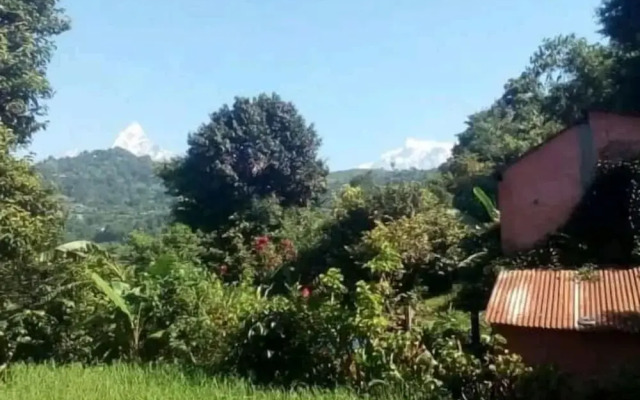 Nature Side Cottage