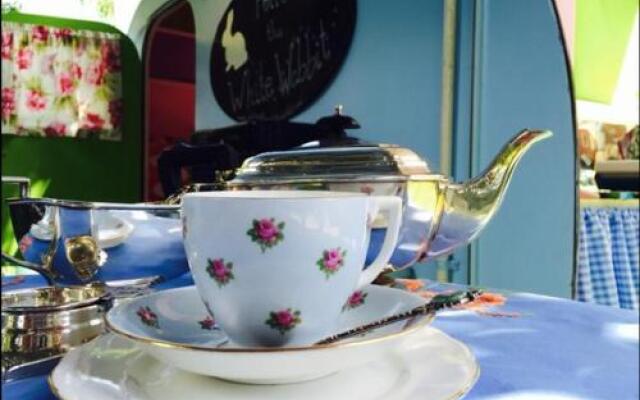 Follow The White Wabbit