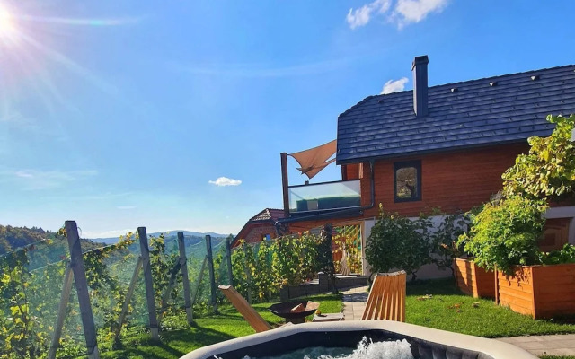 Vineyard cottage Matej
