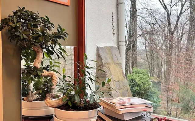 Charming Studio the Heart of the Forest