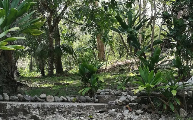 Manuel Antonio Comfort 1