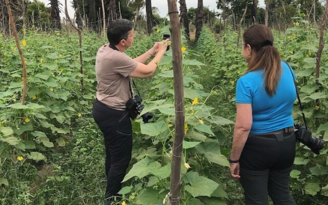 Madam Sokha Homesteading