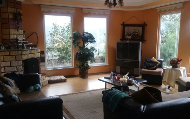Karabina Villa Apart