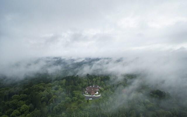 Ama Plantation Trails , Coorg