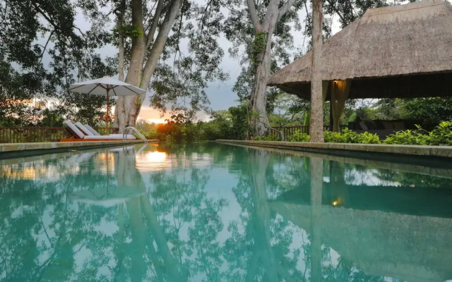 Luxury Jungle Villa, 3 BR, Ubud With Staff