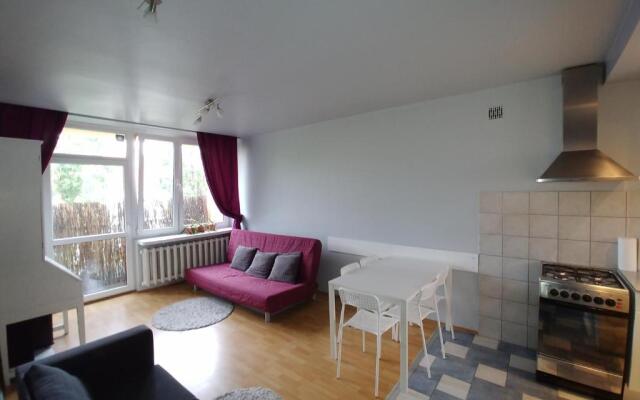 Apartament Saski