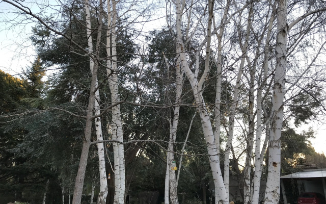 El Colibri Cabañas de la Naturaleza
