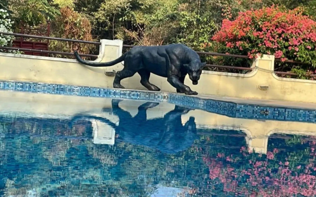Irai Safari Retreat