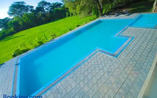 Bird Scenery