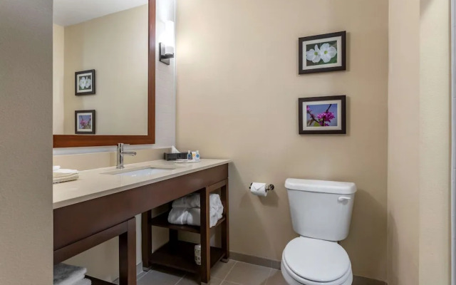 Comfort Inn And Suites Waller