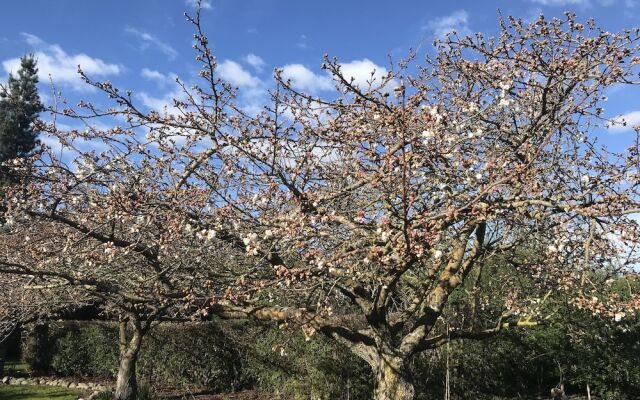 Newlands Bed and Breakfast